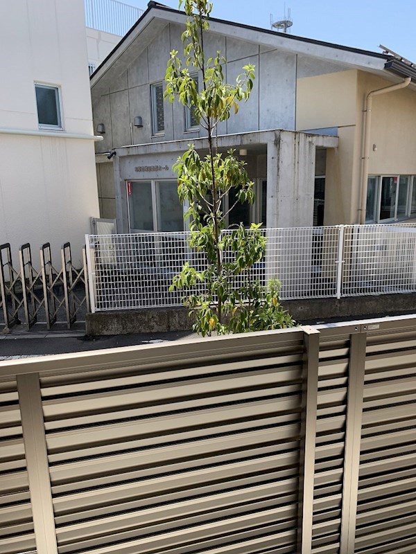 マロンハイム その他6