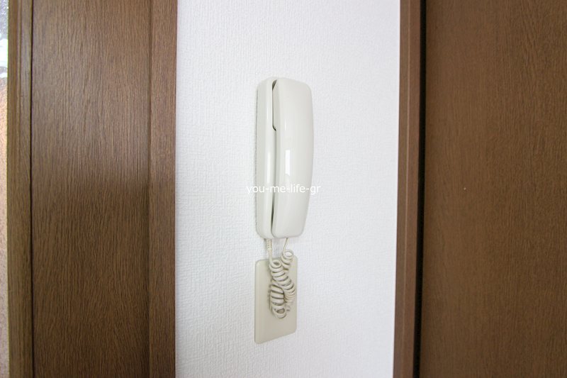 フォレスト その他2