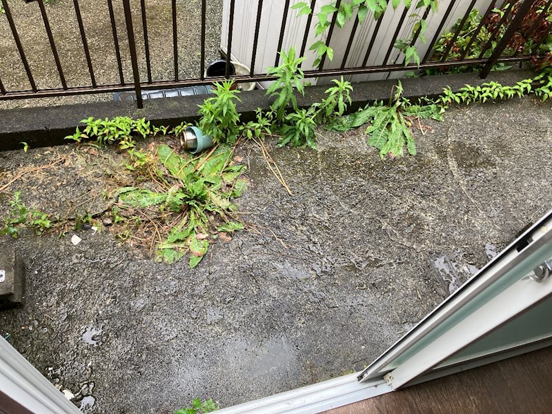 フルハウス ベランダ