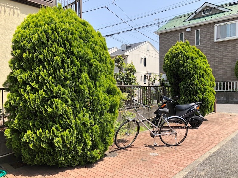 クレール中原 その他外観3