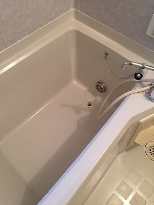 ビューバレー その他18