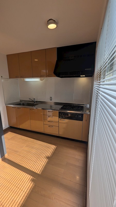 ヴィーナマンションB棟 キッチン