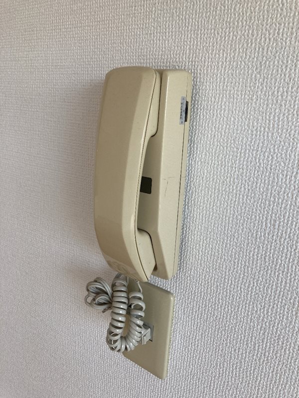 メゾン・ド・ブラン東海大学前 その他2