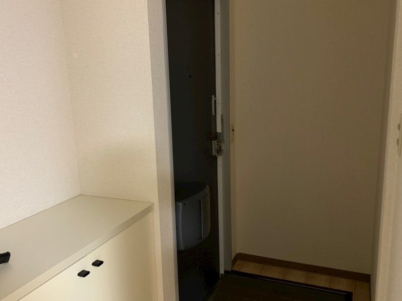 ニューハビテーション 玄関