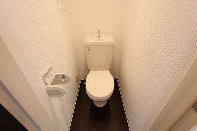 ストゥディオ その他4