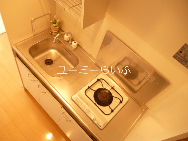 ゴールドウィン湘南 キッチン