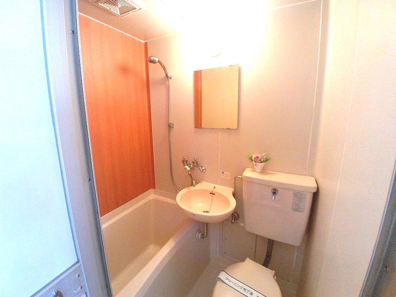 ラヴィータフェリーチェ藤沢 その他1