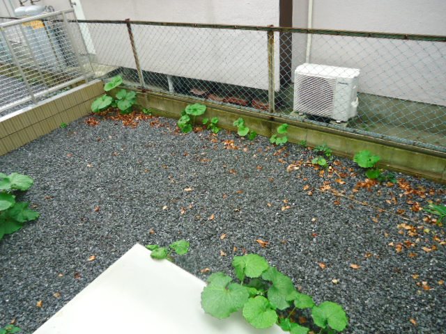 フェリシード湘南台 ベランダ