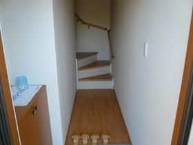 レイン・ツリー・ヴィレッジ  その他5