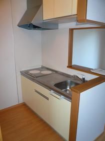 レイン・ツリー・ヴィレッジ  キッチン