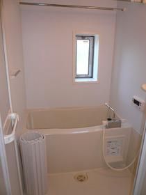 レイン・ツリー・ヴィレッジ  風呂画像