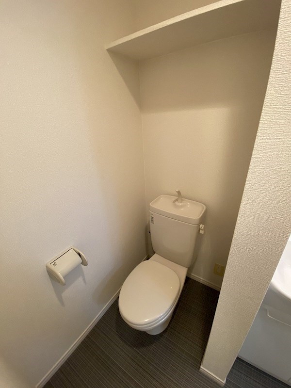 ラティアス その他1