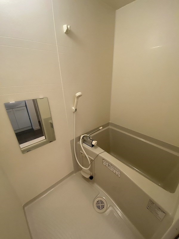 ラティアス 風呂画像