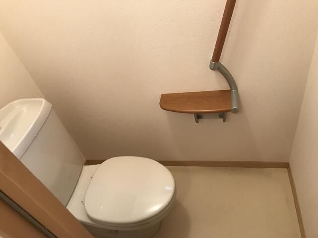 スコイアットリーノ その他11