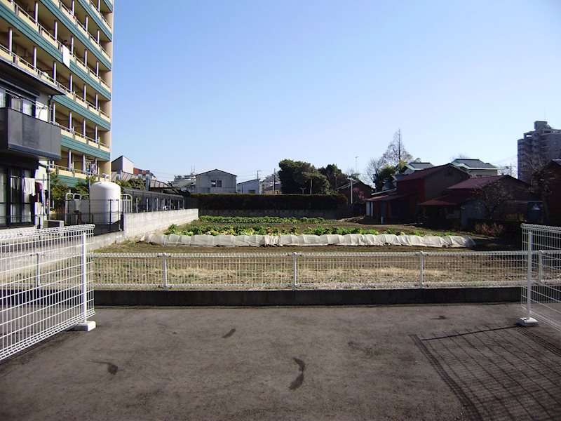 サンボナールＢ  その他5