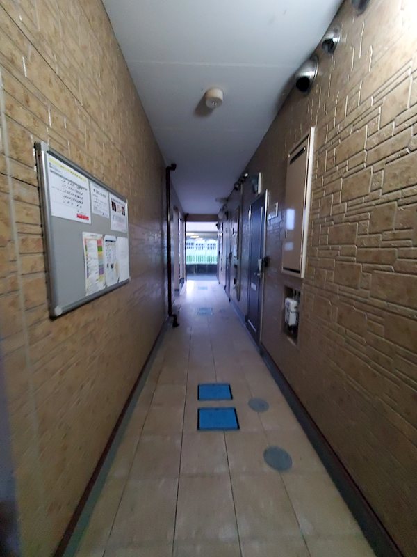 アン・ルミエール その他5