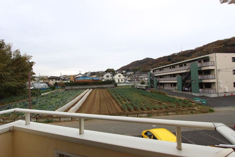 カサブランカ その他5