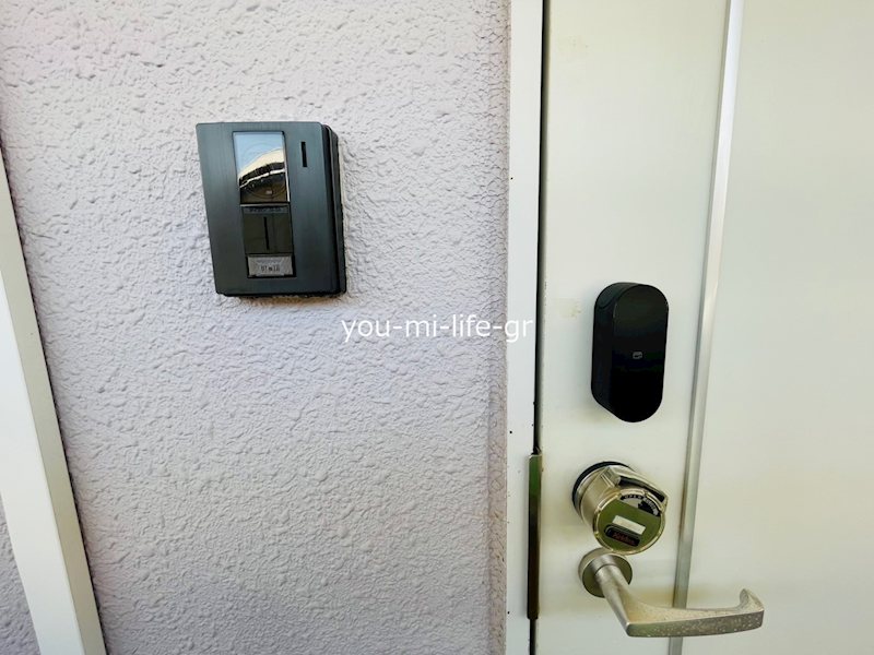 プロスペリティ旭湘南 その他3