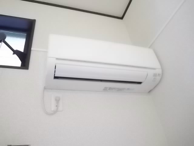 ラズベリーリーフ その他2