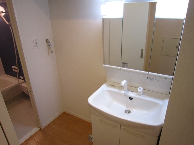 Ｐａｌｍｅ　ｄ&amp;rsquo;Ｏｒ その他2