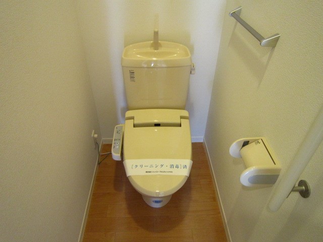 Ｐａｌｍｅ　ｄ&amp;rsquo;Ｏｒ その他6