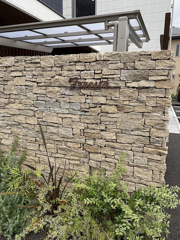 Ｆｒｅｅｓｉａ その他1