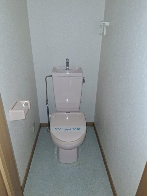 カルミア その他6