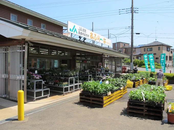 第2スペランザ大住 周辺画像4