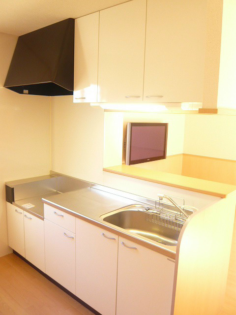 スワロウテイルＦ キッチン