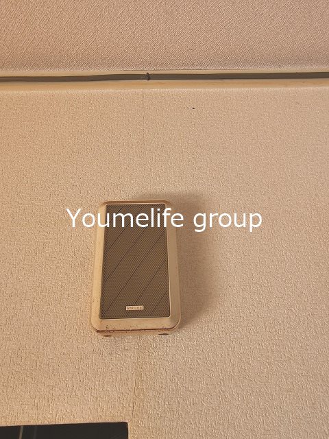 レピュートオオクラ その他4
