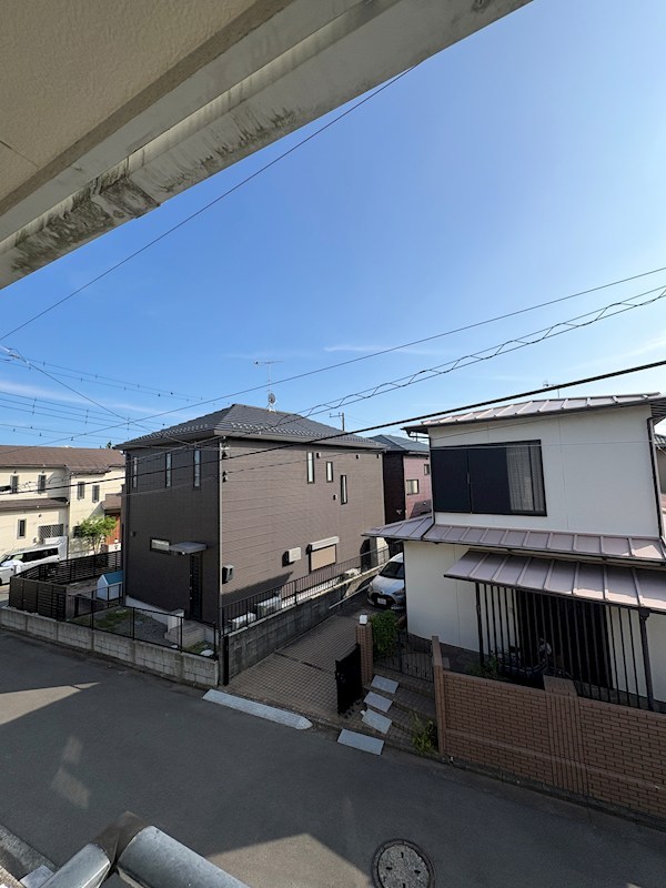 シュトラウスグラス その他1