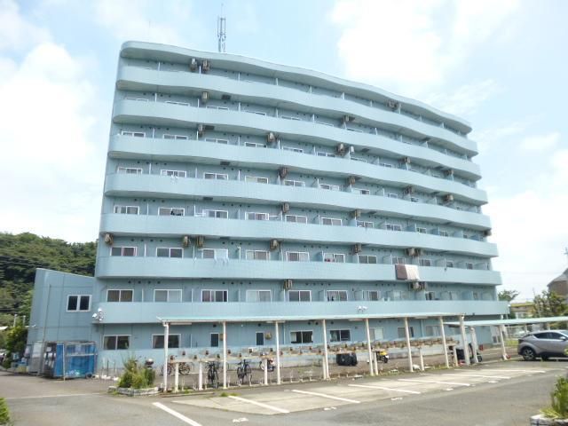 その他11