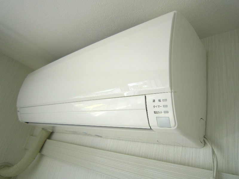 サニータカノ その他5