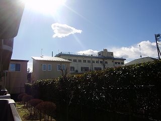 フロラシオン その他4