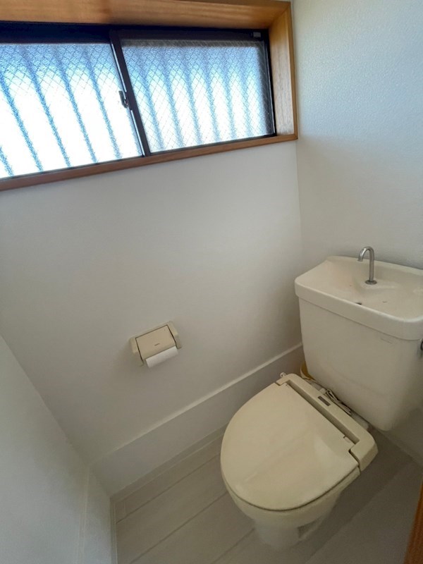 その他 アイリス その他2