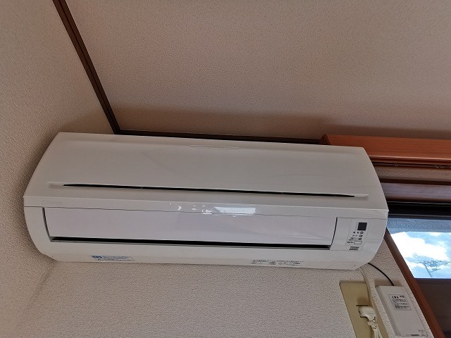 アムール その他5