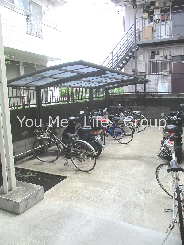 ラズベリーリーフ その他4