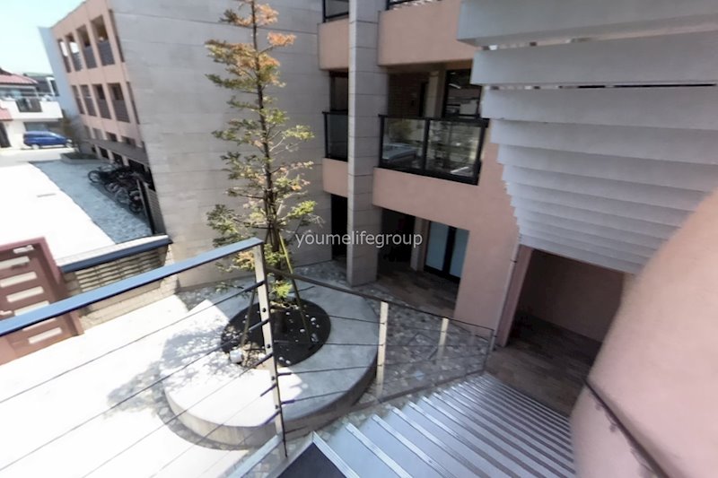 エクレールアクシス  その他外観3