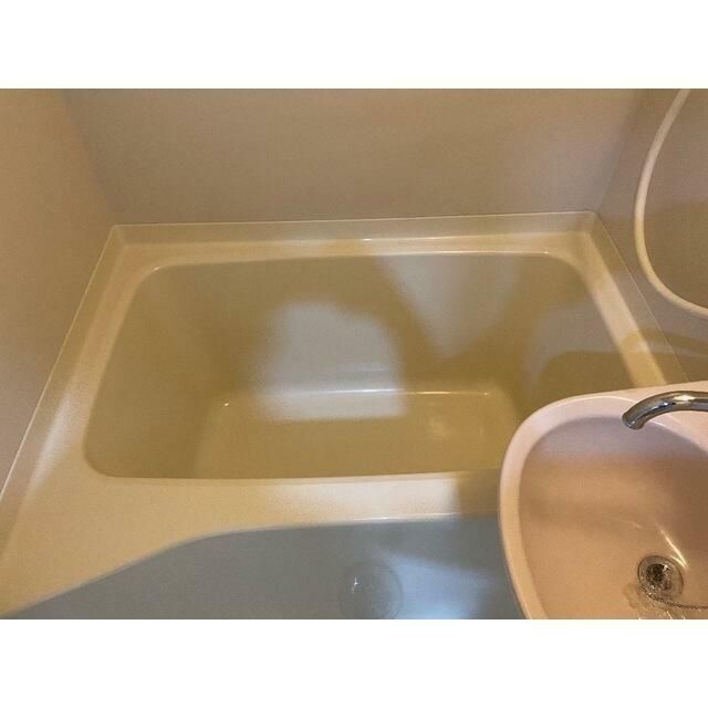 マルヴィエント湘南 風呂画像