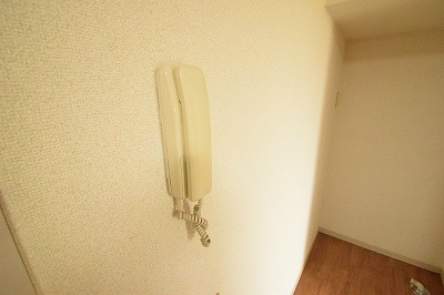 ウィングヴィラ 玄関