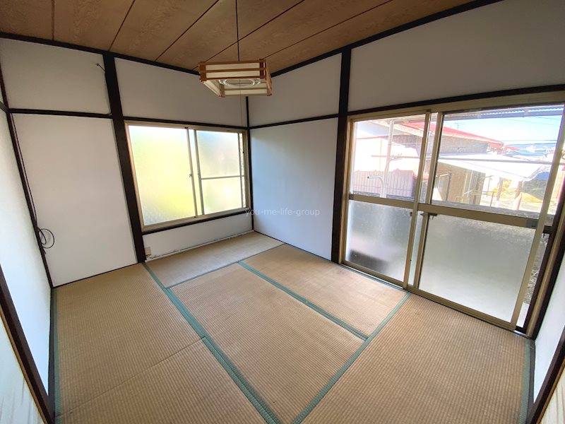 ひまわり その他6