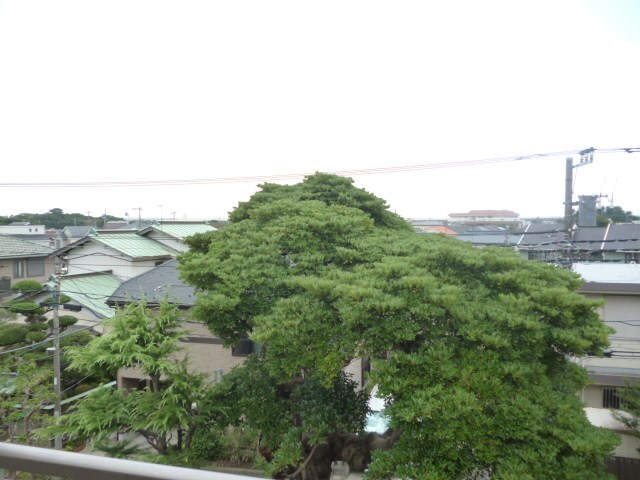 湘南absⅠ その他1