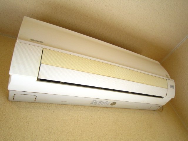 ペパーミント加藤Ⅰ その他2