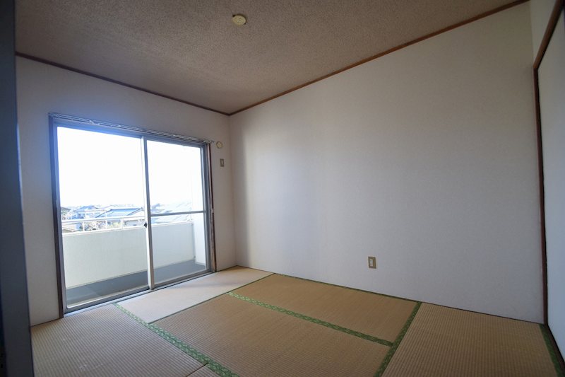 グリーンマンション・テラ その他7