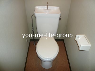 プリムラ その他1