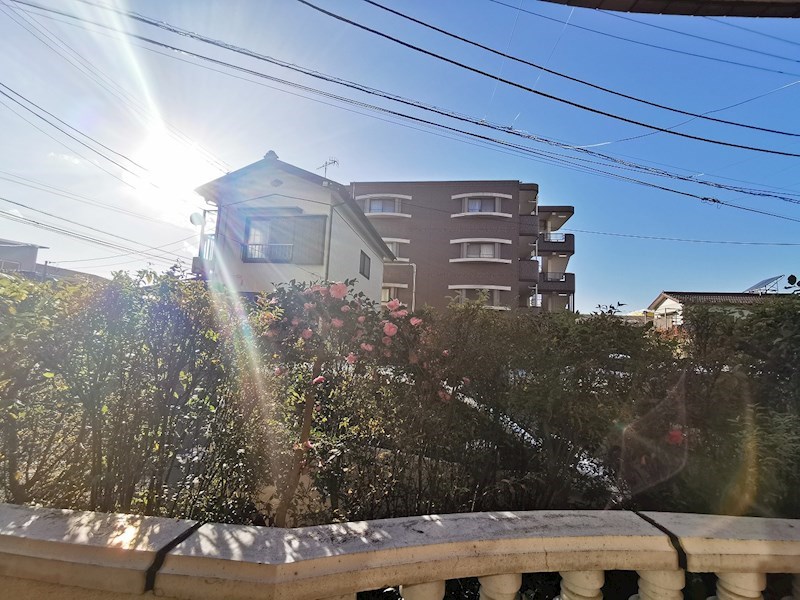その他8