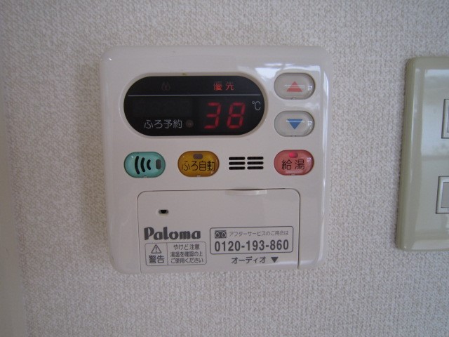 プランタンD その他2