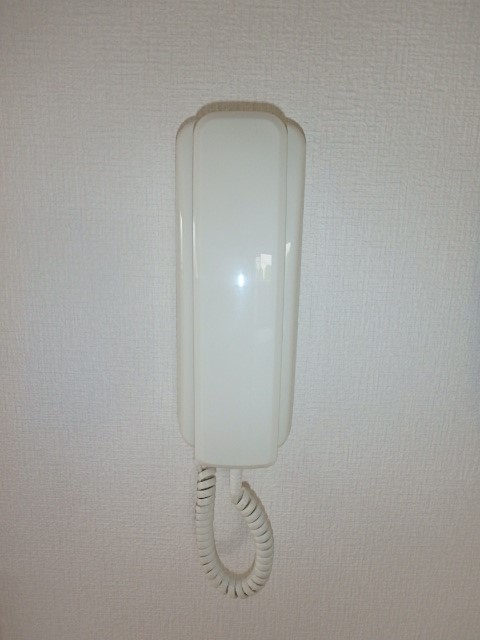 プリムローズ その他4