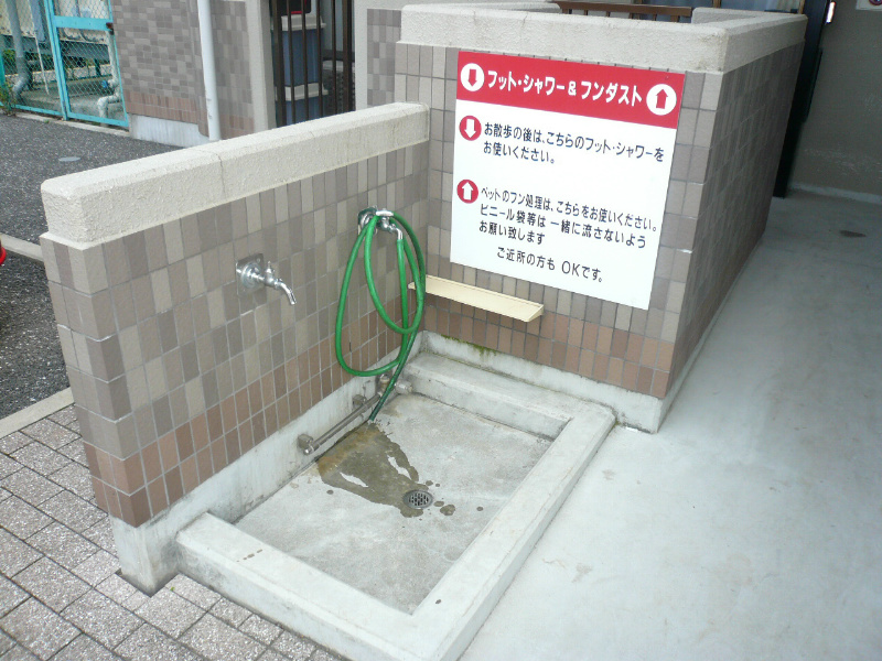 プリムローズ その他外観3