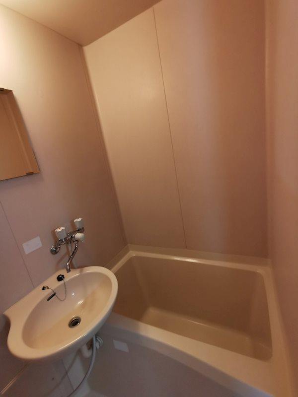 シャトレ・ストンリバーⅡ－２ 風呂画像